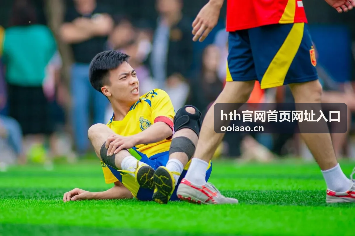 hth官网首页网址入口常见问题中的入口自查与访问状态示意图
